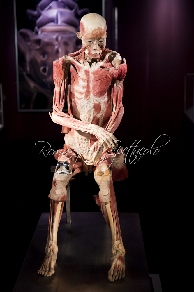 20170407 RSS Gallery Presentazione Realbodies 0005