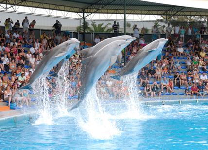 zoomarine-parco-di-roma