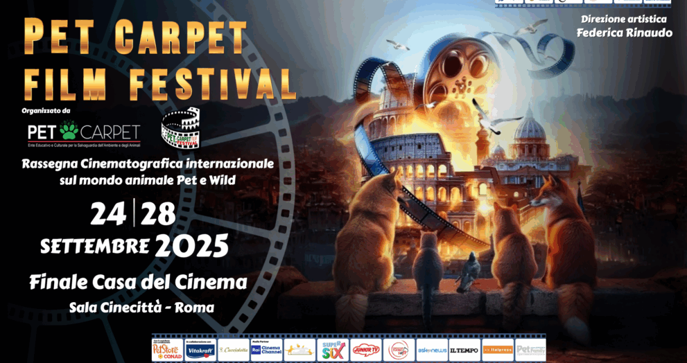 Pet Carpet Film Festival